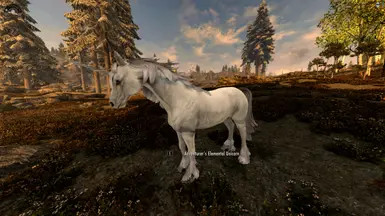 The default basic unicorn included in the main Unicorns in Skyrim mod