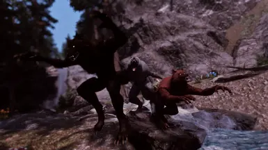 Running with the wolves