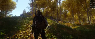 Reshade 1.1