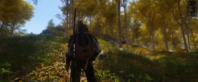 No Reshade