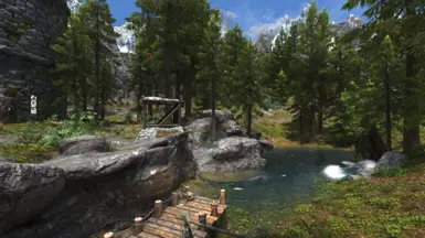 pond