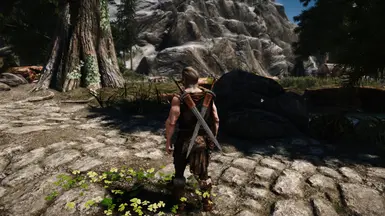 Dual Sheath Redux Up And Running On SSE At Skyrim Special Edition Nexus ...