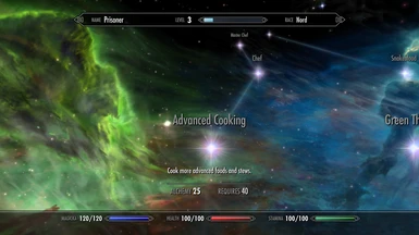 Advanced Cooking