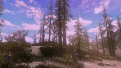 Vanilla Weathers