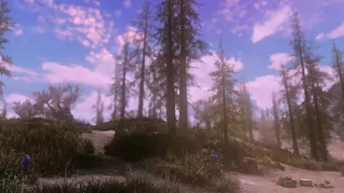Climates of Tamriel
