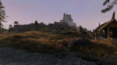 tundra