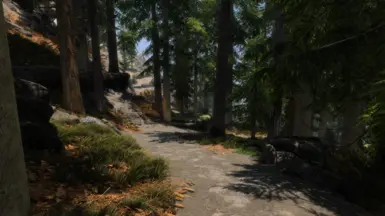 pine