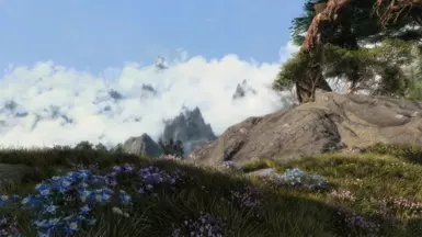 reach