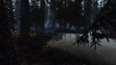 swamp