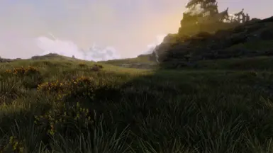tundra green