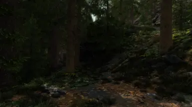 pine forest 1.2 changes