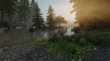 pine 1.4 changes