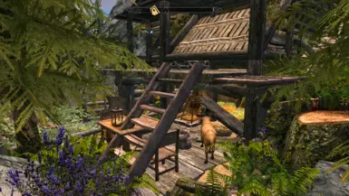 Roof Garden Shack and Anoriths Shack conflict and overlap pic3