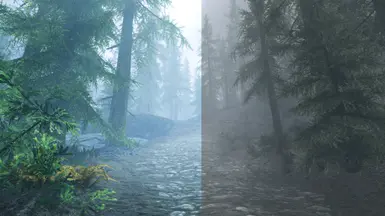 ScreenShot16