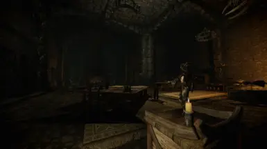 Fort Darius Interior