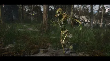Hexxagone
