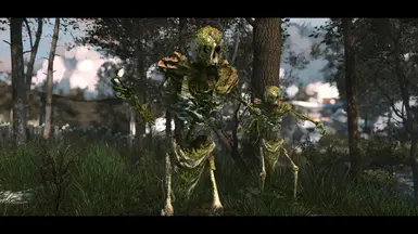 Hexxagone