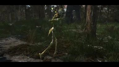 Hexxagone