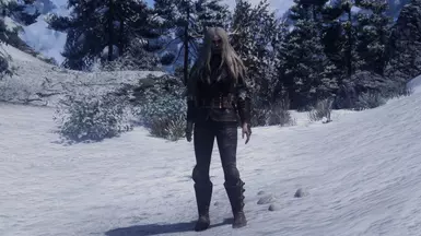 Armor (hood not pictured)
