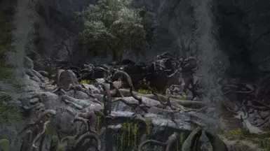Eldergleam Sanctuary