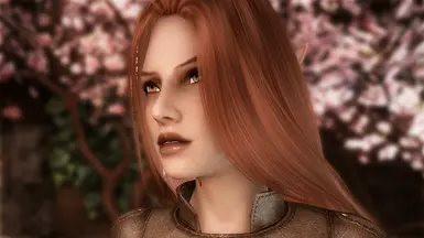 Female Wood Elf - Nolvus V6.0.14