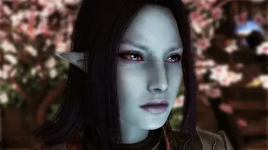 Female Dark Elf - Nolvus V6.0.14