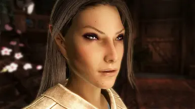Female High Elf - Nolvus V6.0.14