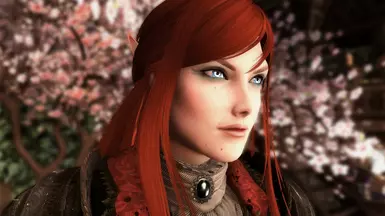 Female High Elf - Nolvus V6.0.14