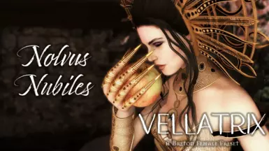 Female Breton - Nolvus V6.0.13