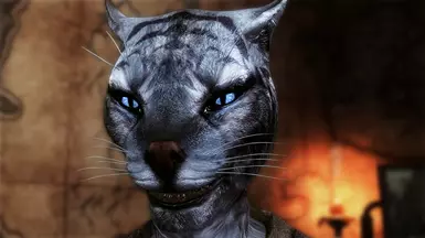 Female Khajiit - Nolvus V6.0.14