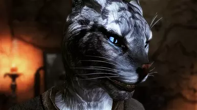 Female Khajiit - Nolvus V6.0.14