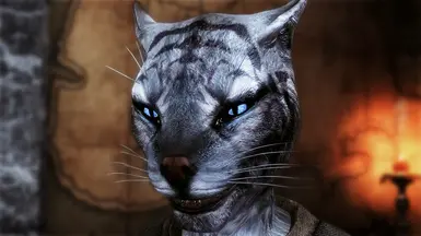 Female Khajiit - Nolvus V6.0.14
