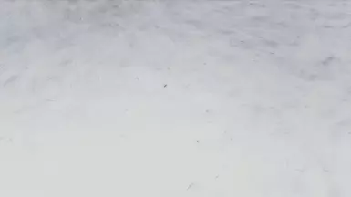 Real Snow HD 2k - DELETED