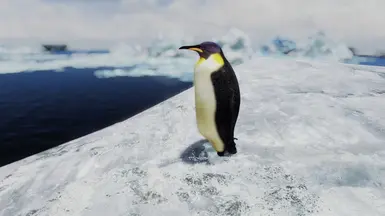 Realistic Penguins 2k at Skyrim Special Edition Nexus - Mods and Community