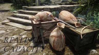 skyrim se realistic carry weight