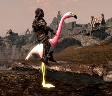 New Flamingo
