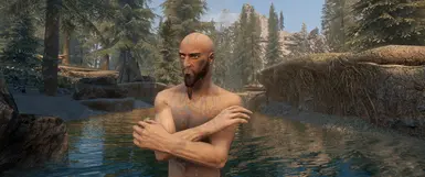 easy quick cleaner for skyrim special edition easy quick cleaner for skyrim special edition