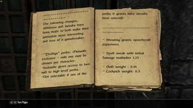 Thief Overview Text