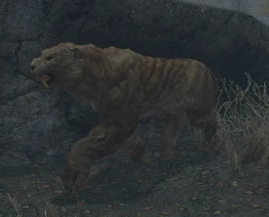 the cat that was meant to be in Skyrim