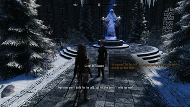 Immersive College of Winterhold - simple curiosity or a subtle threat?