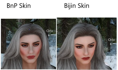 BnP skin compared to Bijin skin