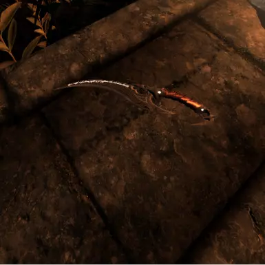 Optional Texture 2