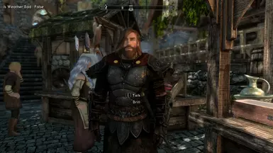Gay Skyrim sesso
