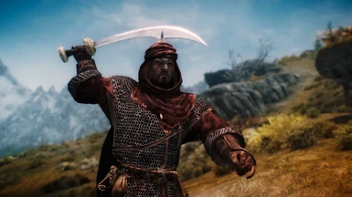 Redguard Knight