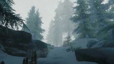 ELFX Weathers Blizzard