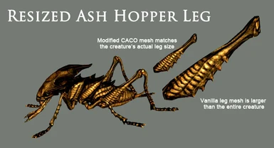 Ash Hopper Leg