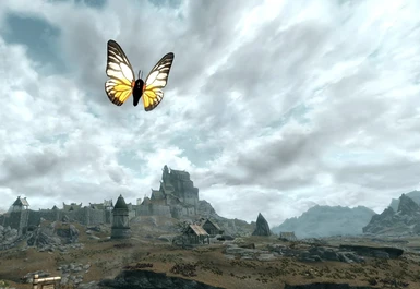 Sawtooth Butterfly