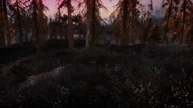 Morthal/The Grass Your Mother Warned You About