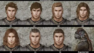 best male hair mod skyrim