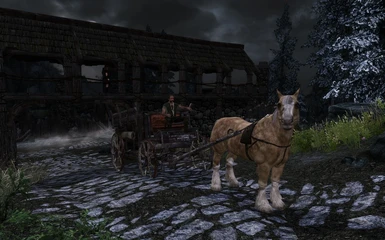 Carriage at Helgen 2 